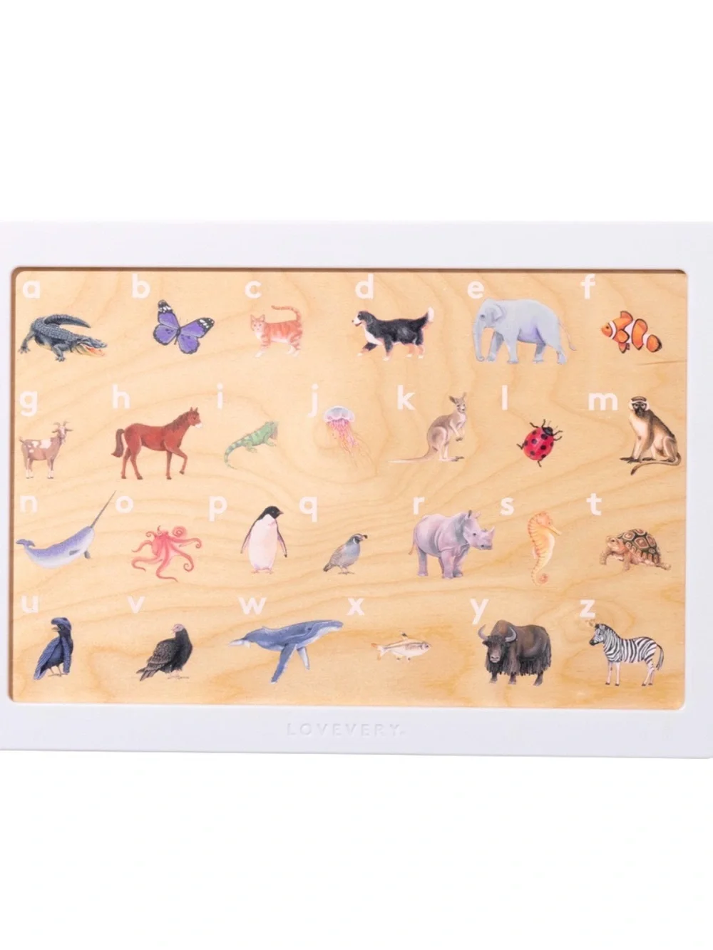 Lovevery Play Kit Months 40, 41, 42+ The Storyteller Play Kit